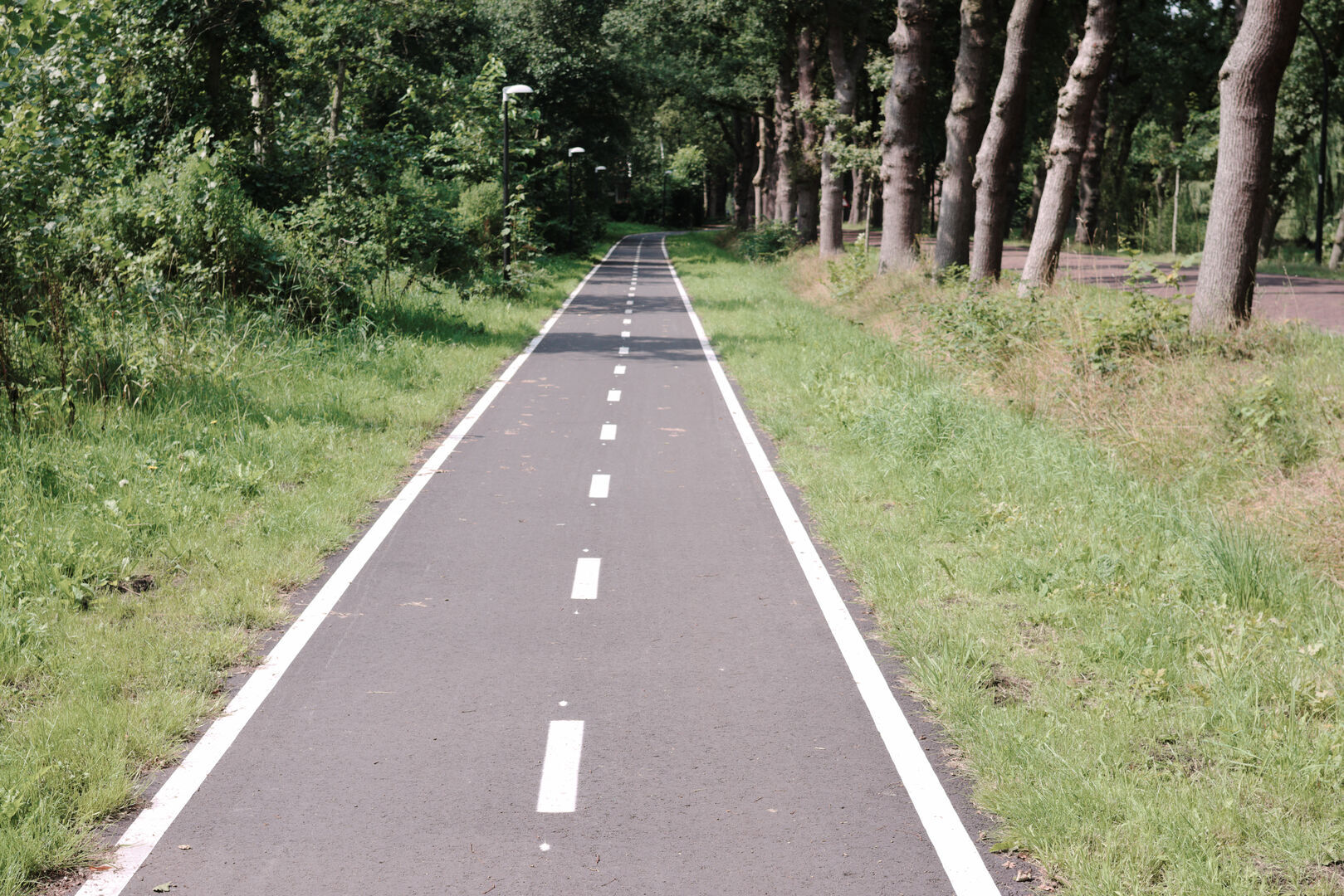 Bellingwolde Westerwolde Bicycle road