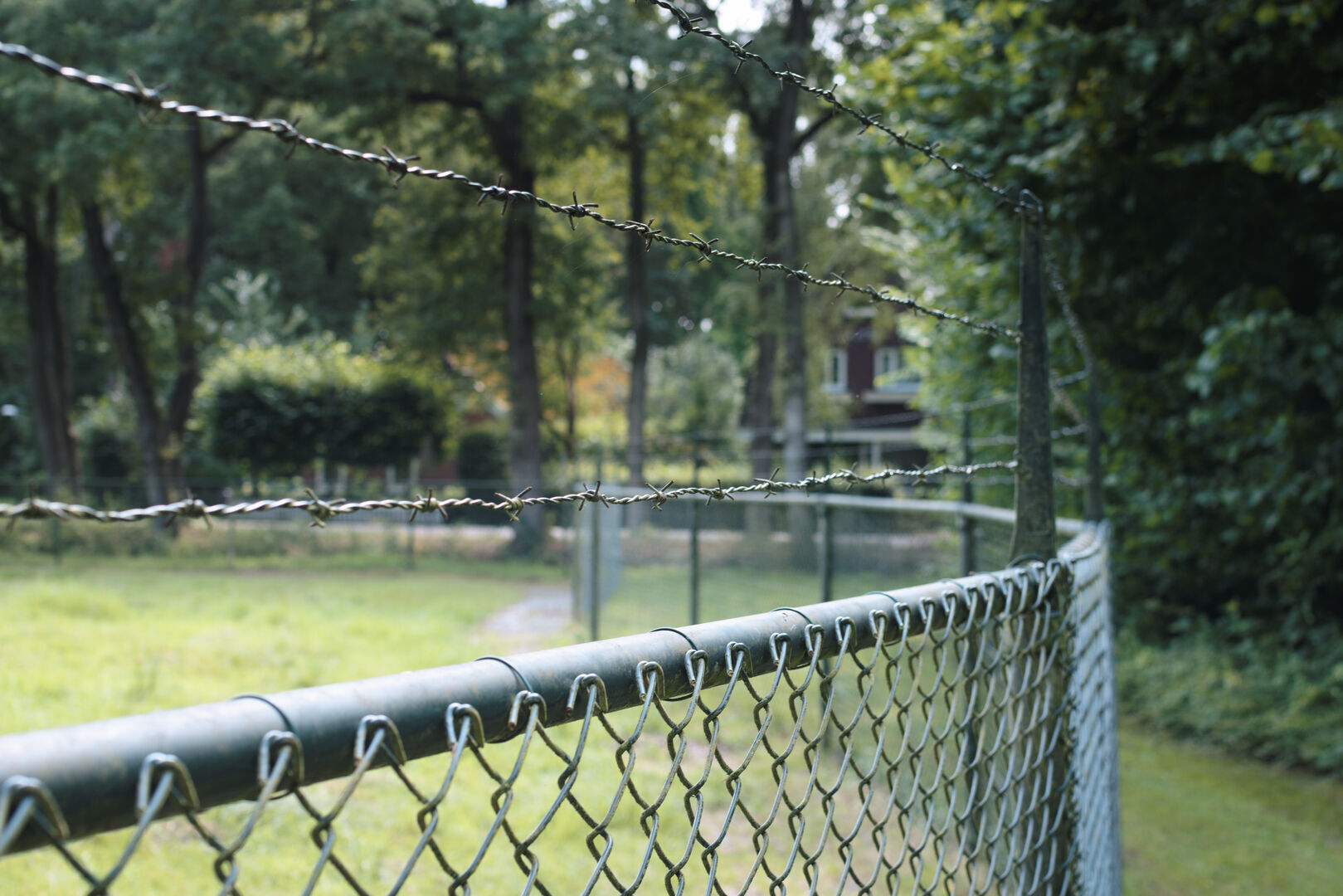 Bellingwolde Westerwolde Hertenkamp