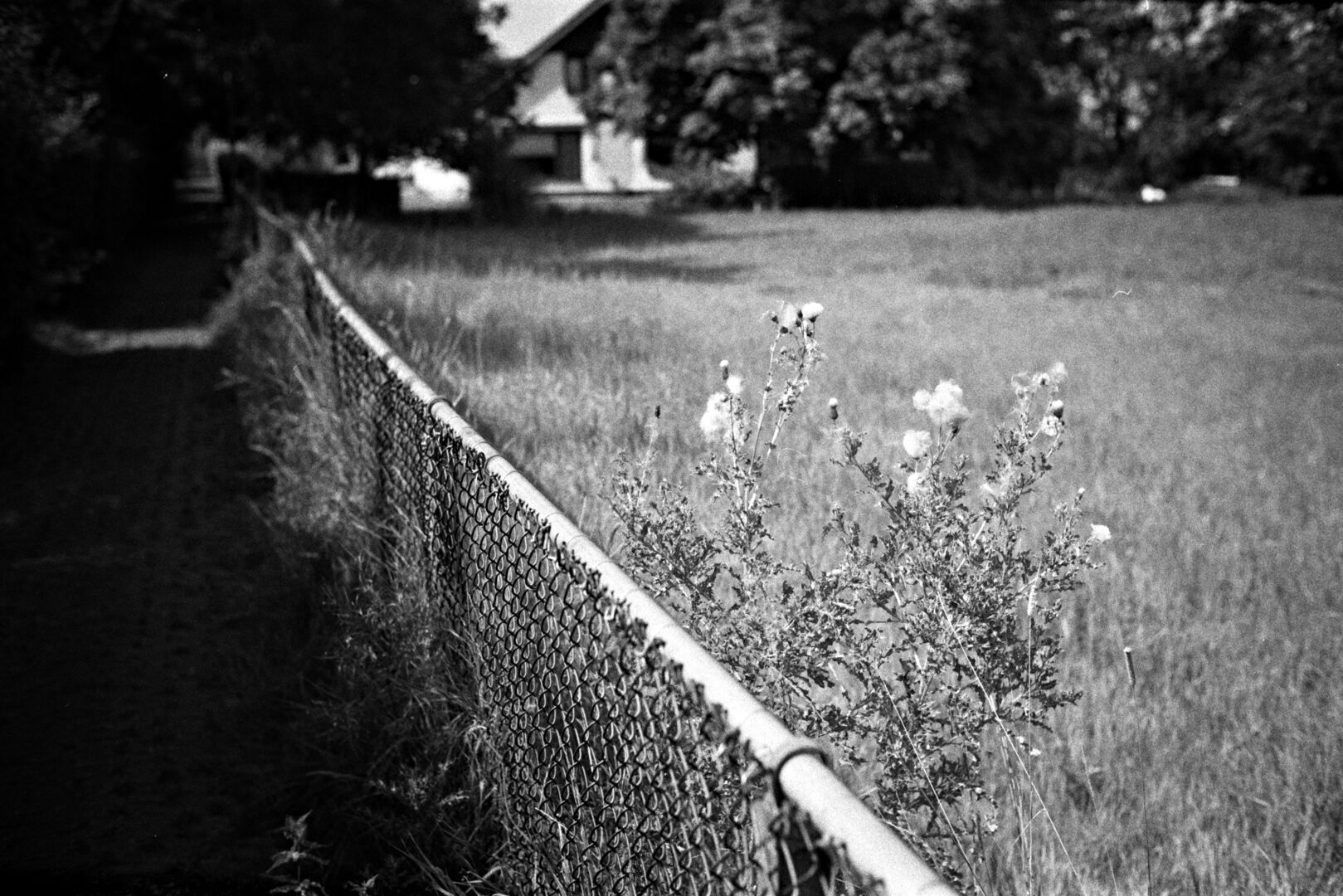 Hek Termuntenzijl Groningen
