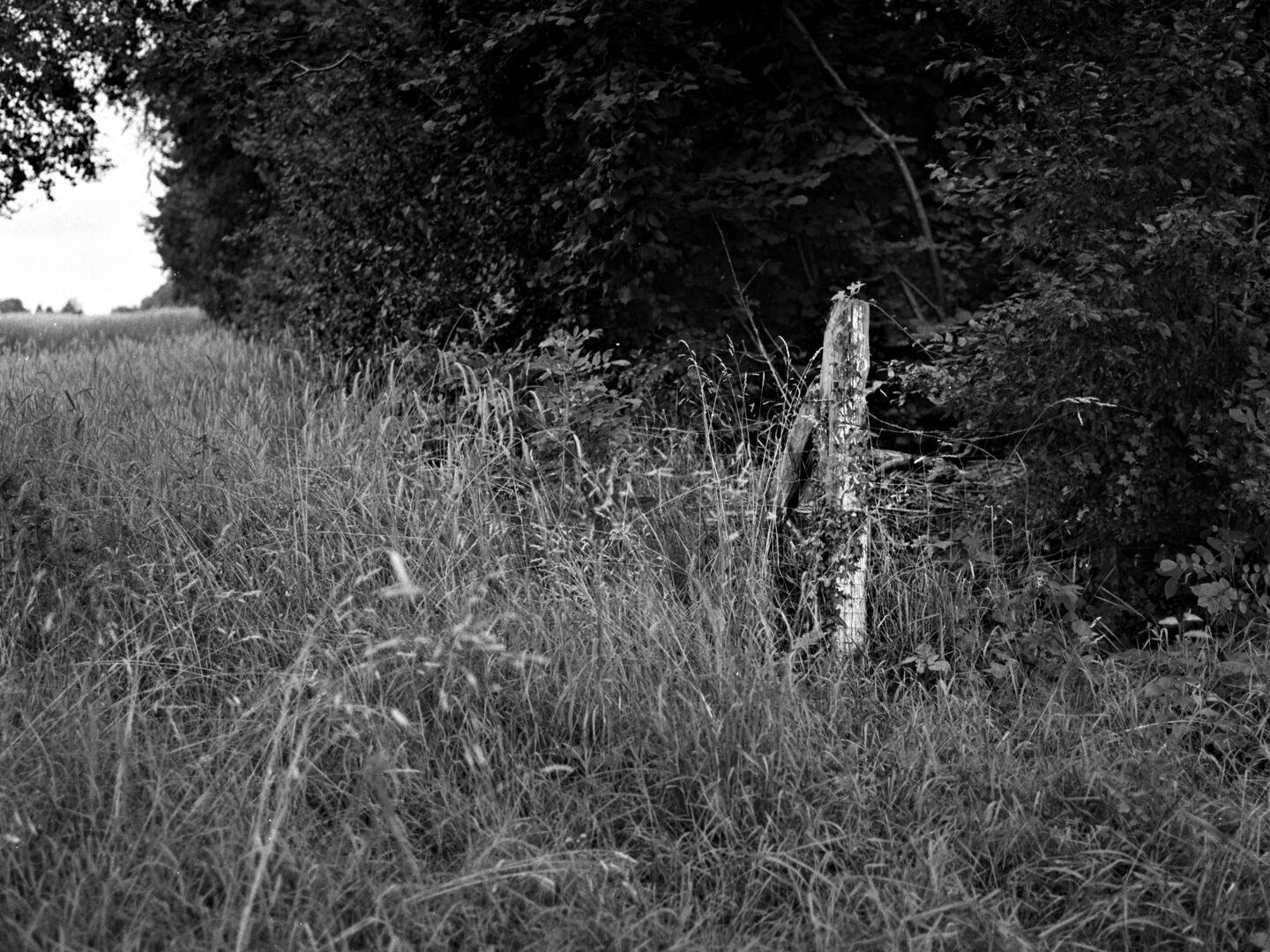 Renneborg Westerwolde Hoekpaal