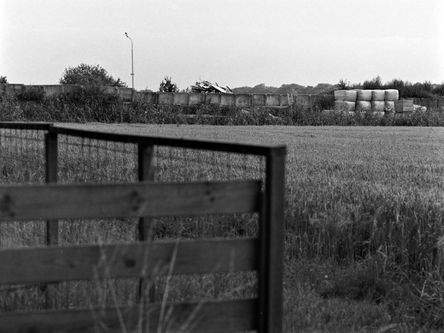 Renneborg Westerwolde Uitzicht