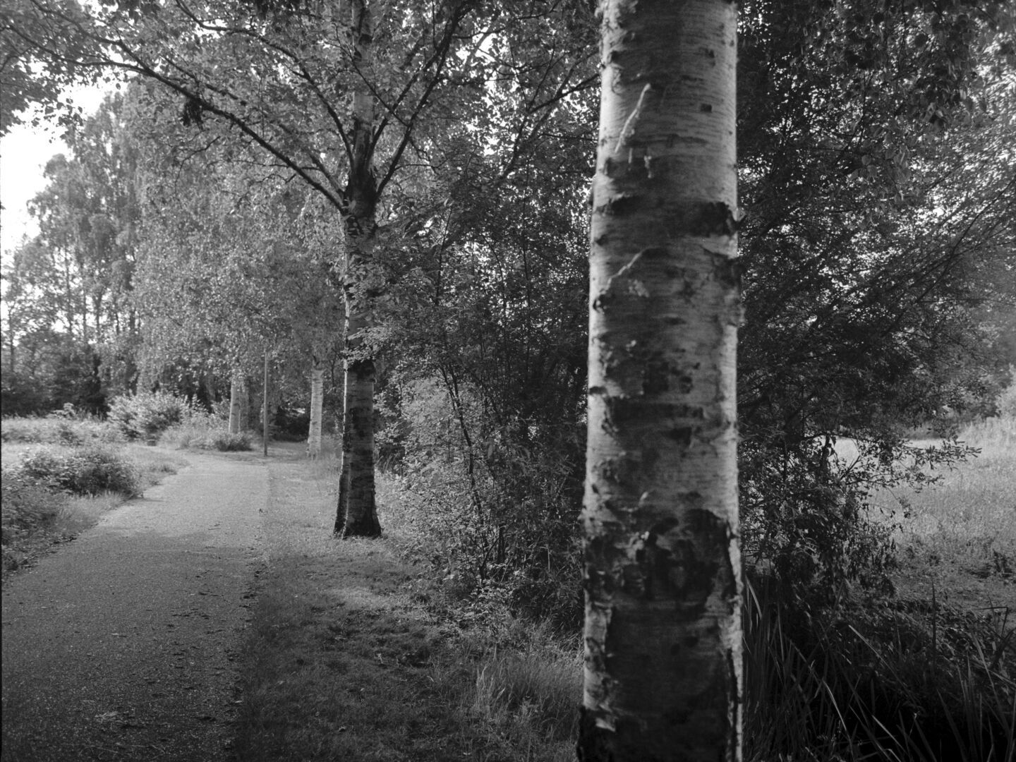Rhederbrug Westerwolde Wandelpad
