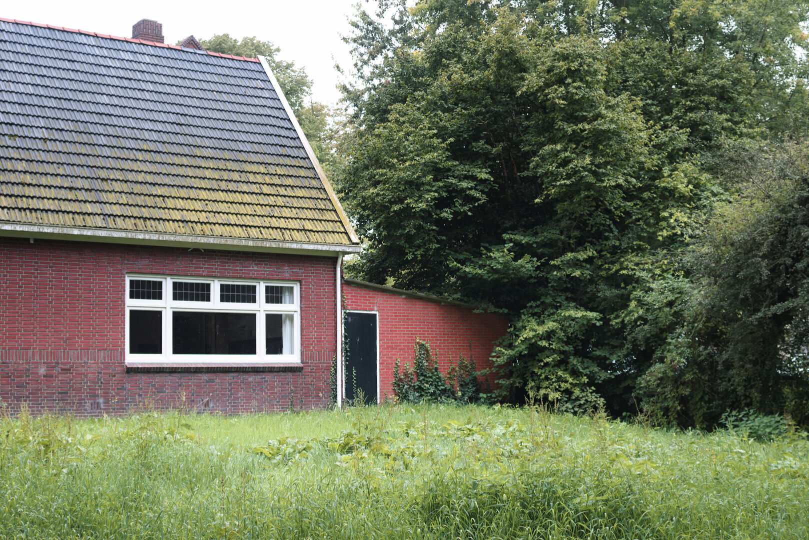 Sellingen Westerwolde Back yard