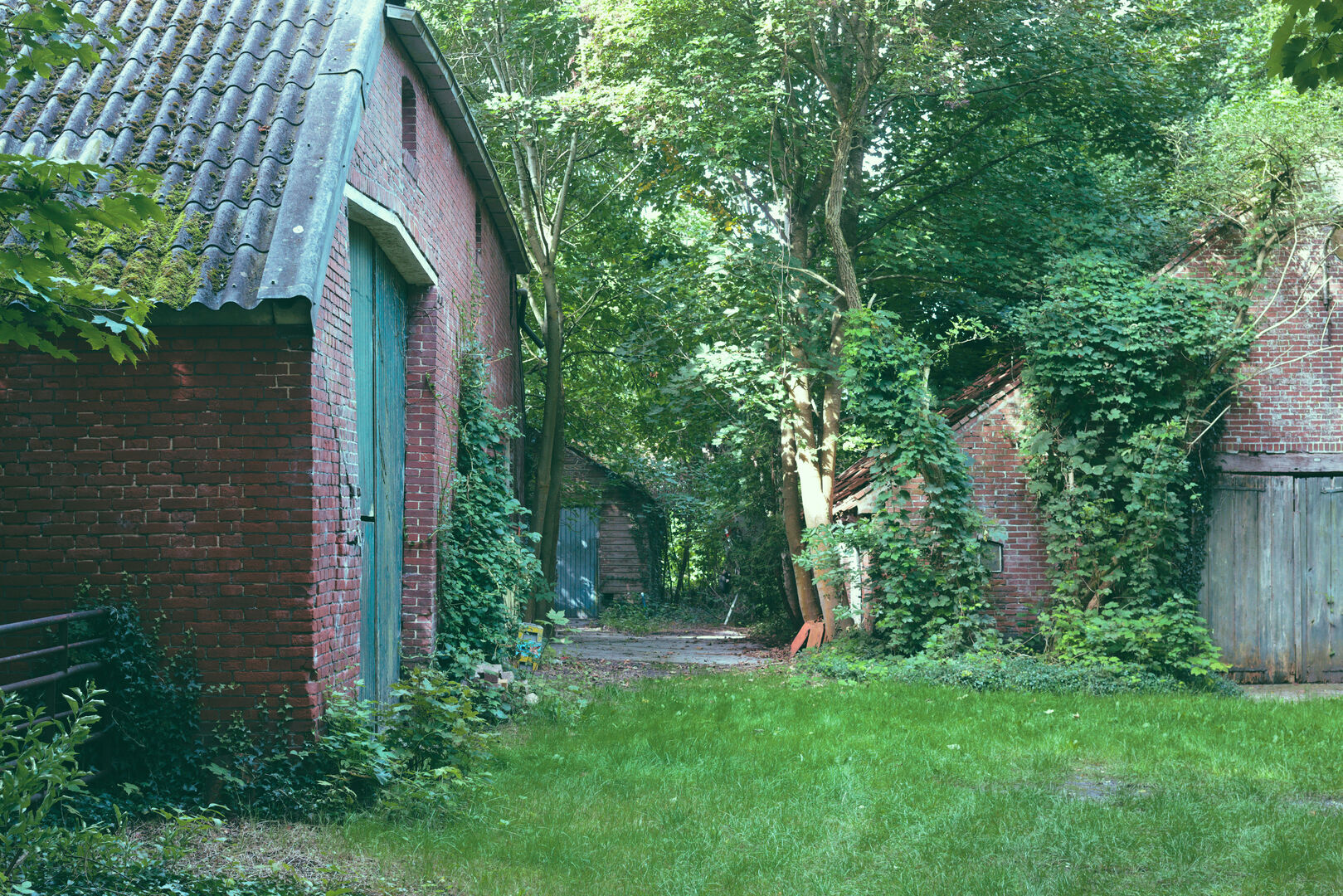 Sellingen Westerwolde Overgrown