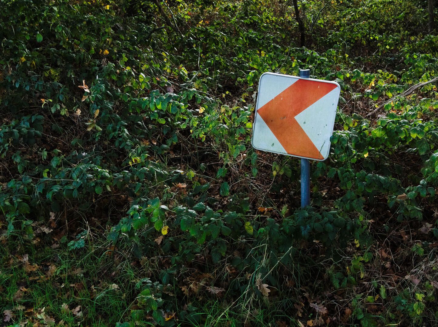 This way Bourtange Westerwolde