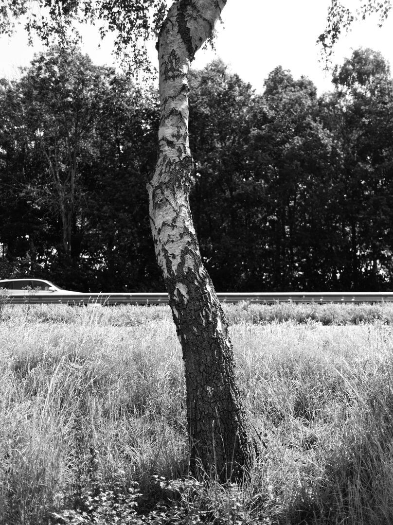 Veele Westerwolde Snelweg