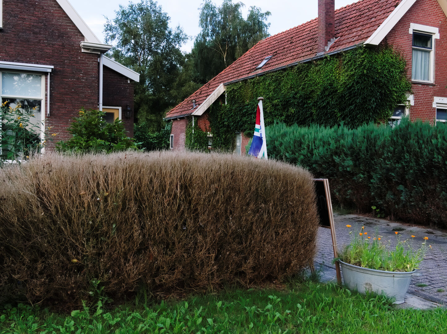 Veelerveen Westerwolde Trotse Groninger
