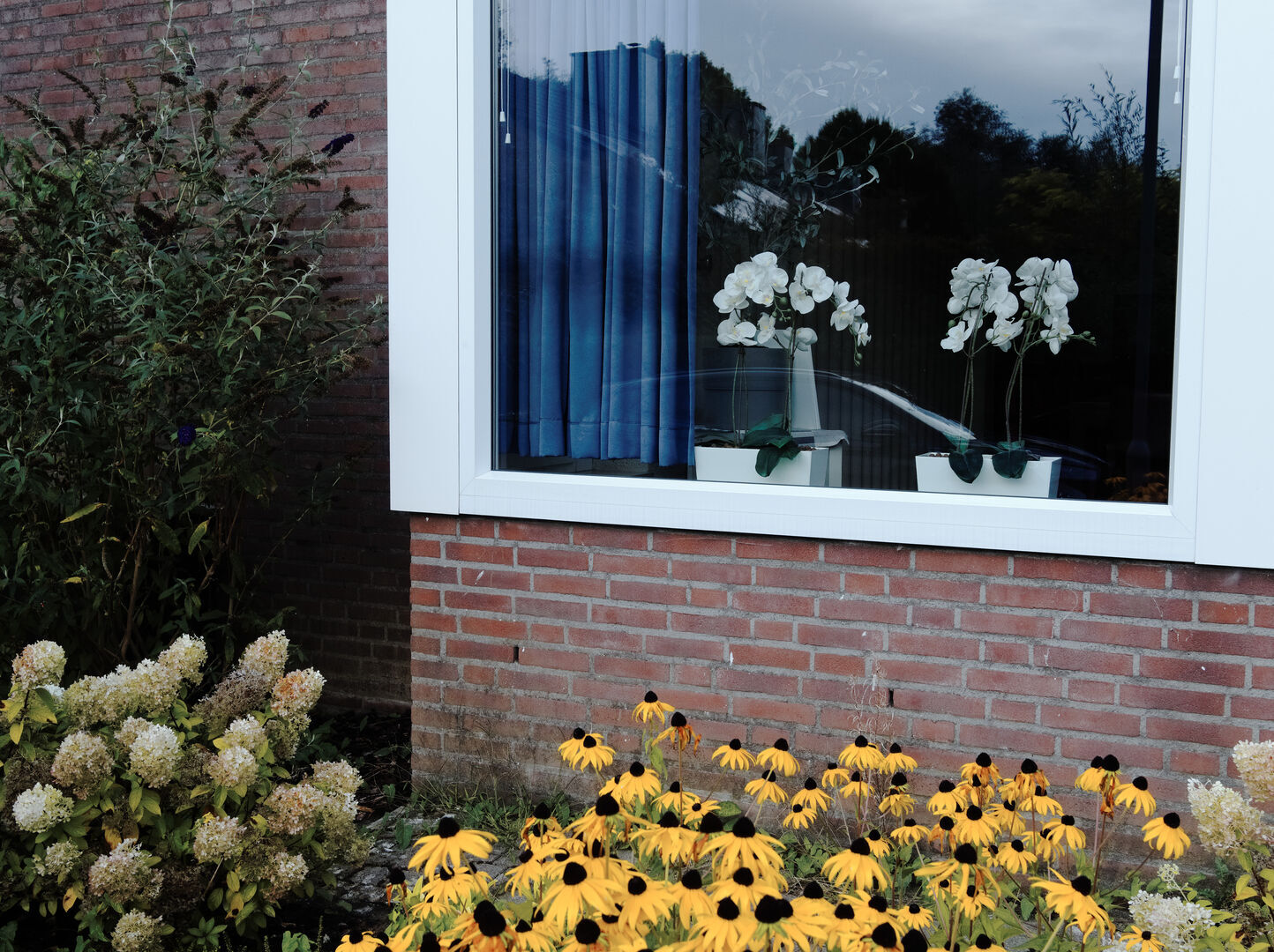 Vensterbank Zuid-Limburg