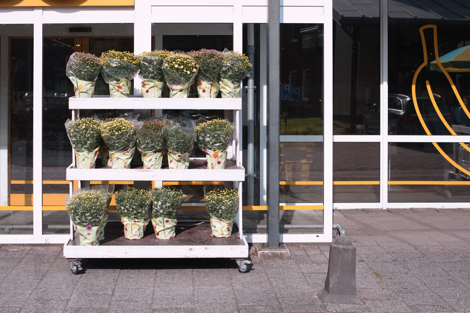 Vlagtwedde Westerwolde Flower arangement