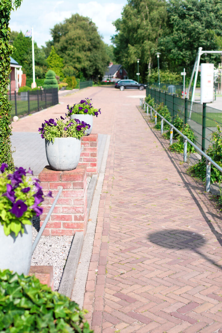 Vlagtwedde Westerwolde Petunia