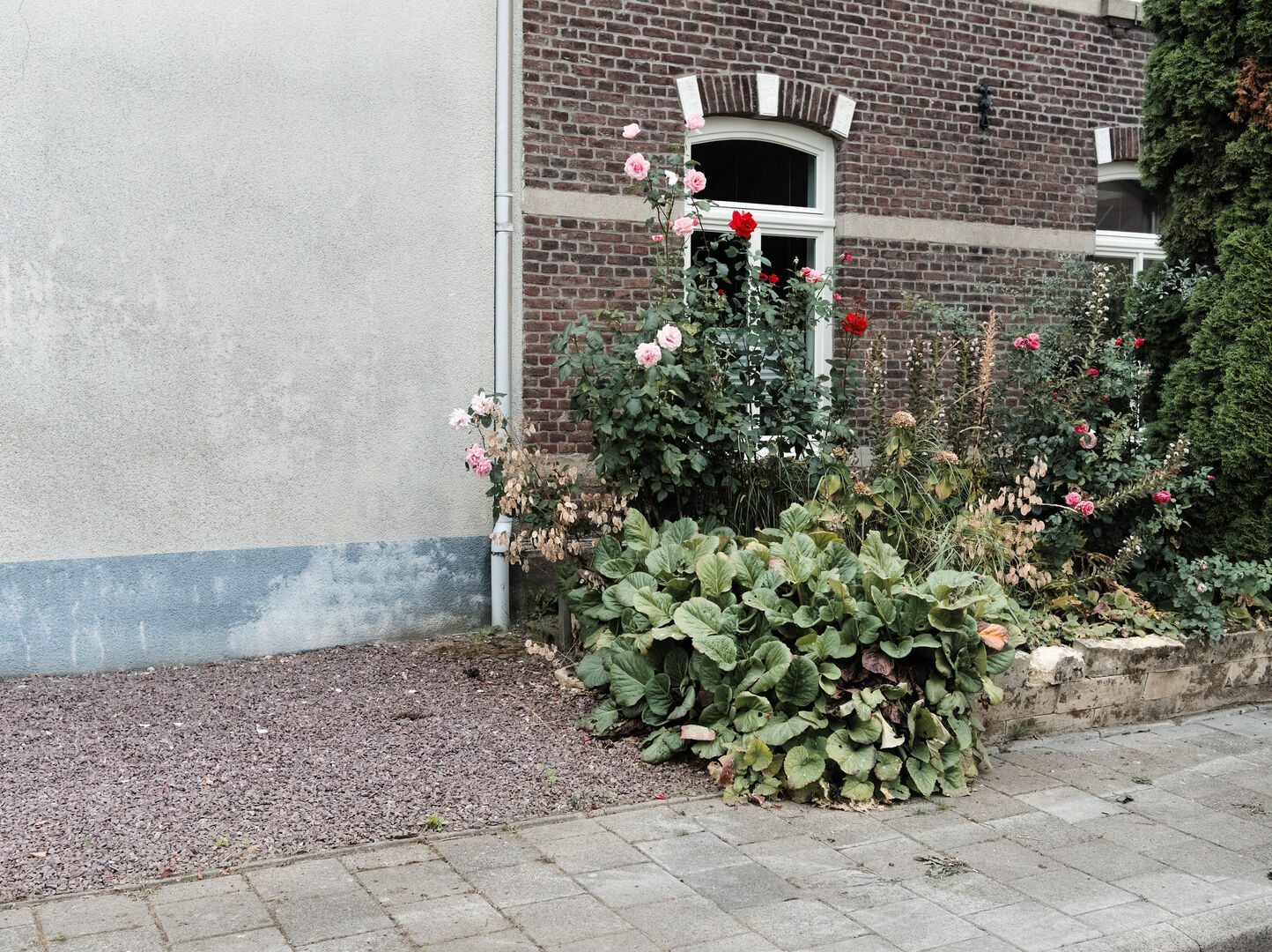 Voortuin Zuid-Limburg