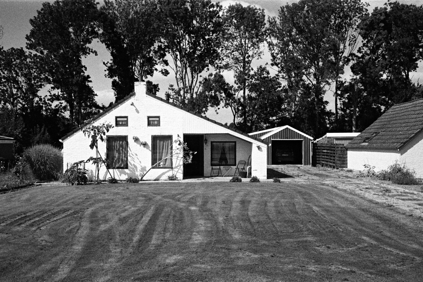 Weelderige tuin Termuntenzijl Groningen