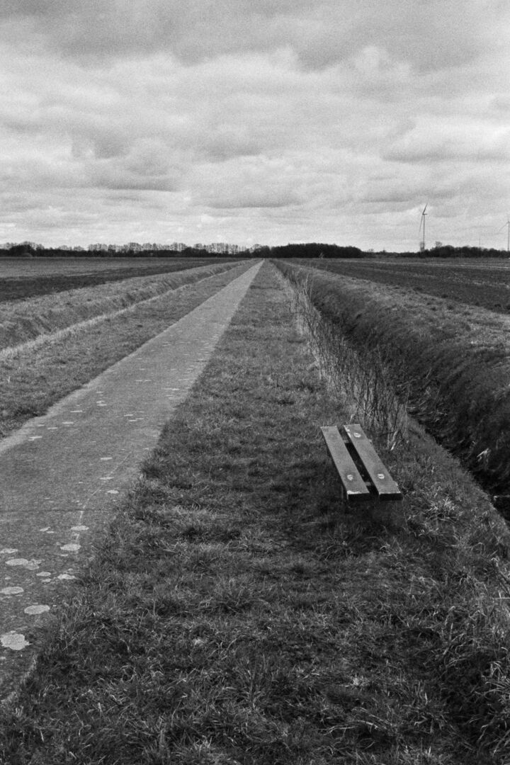 Westerwolde Converging lines