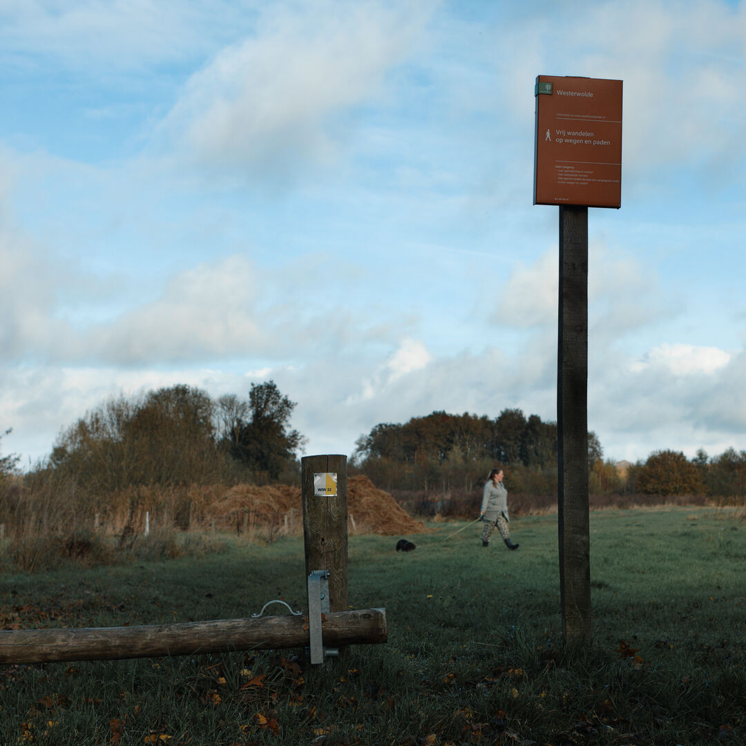 Westerwolde Giezelbaarg hond uitlaten