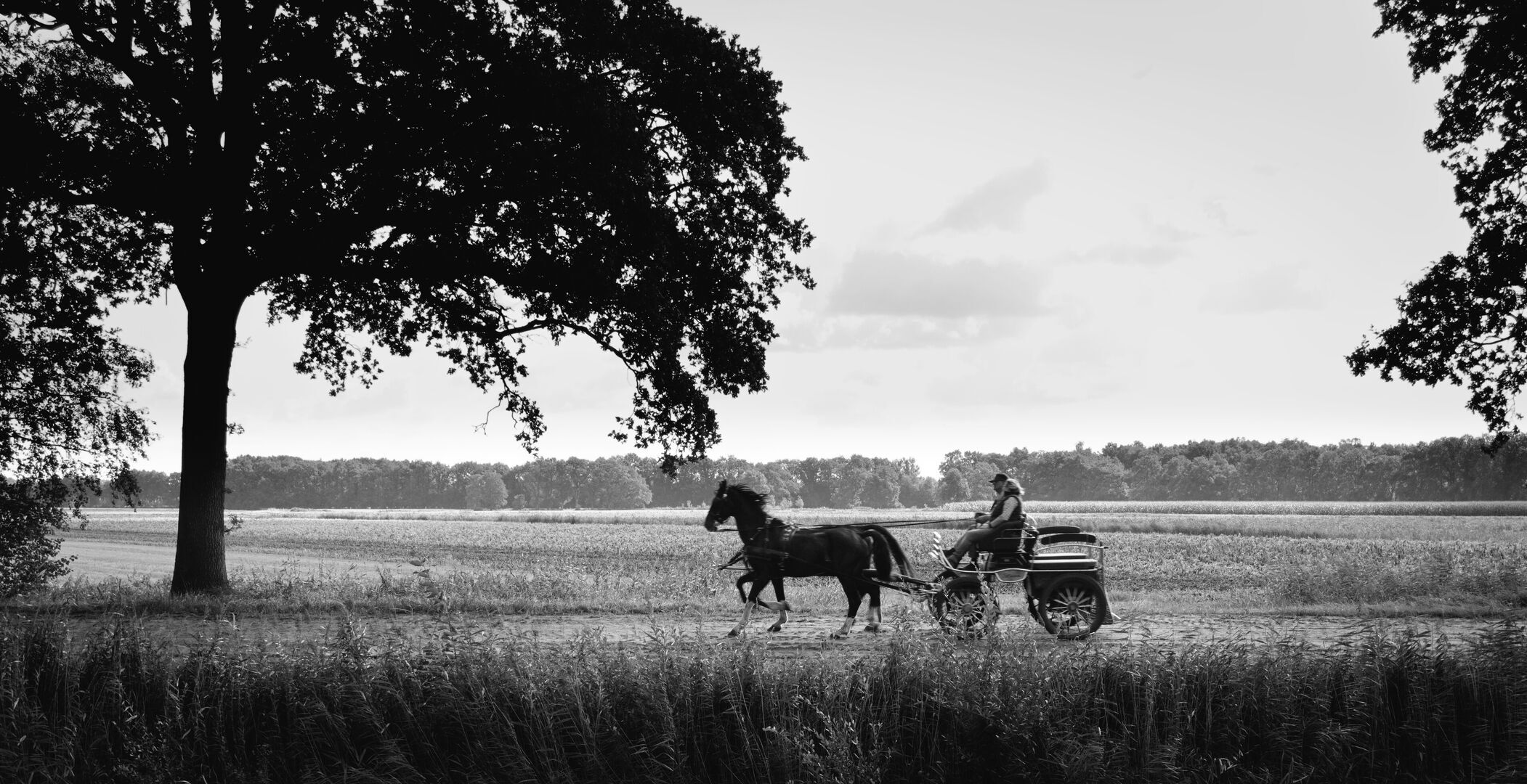 Local transport