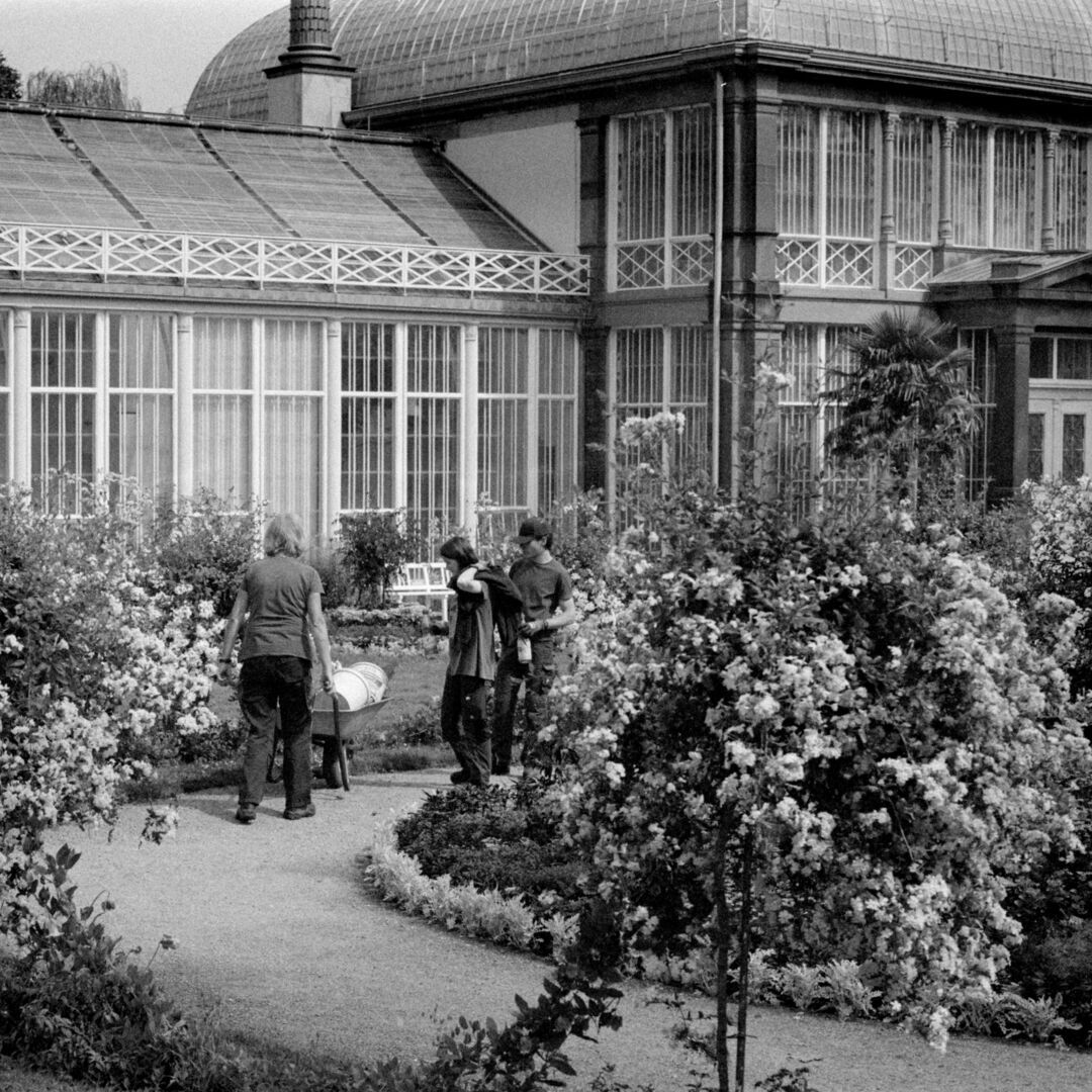 Working in the garden