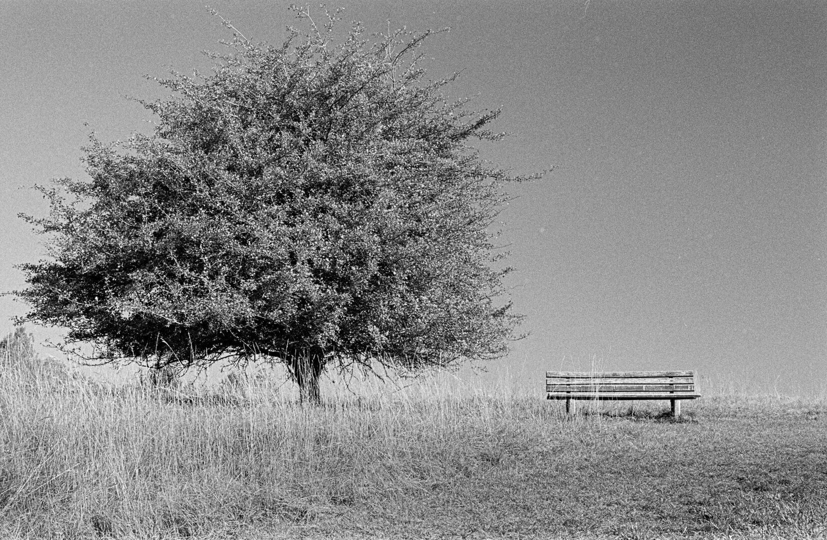 Sitting beside a tree