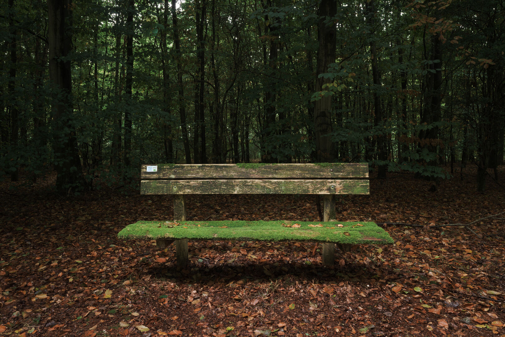 Bankje Bos Veendiep Rederbrug Westerwolde