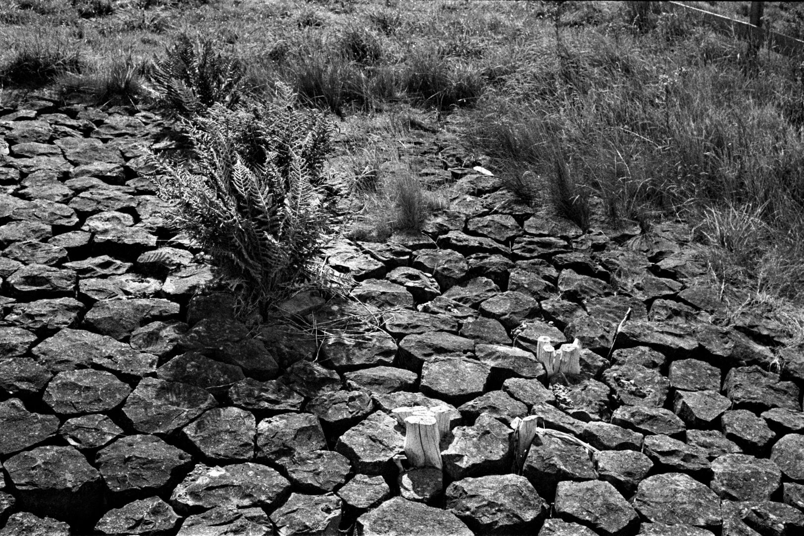 Kustlijn Termuntenzijl Groningen