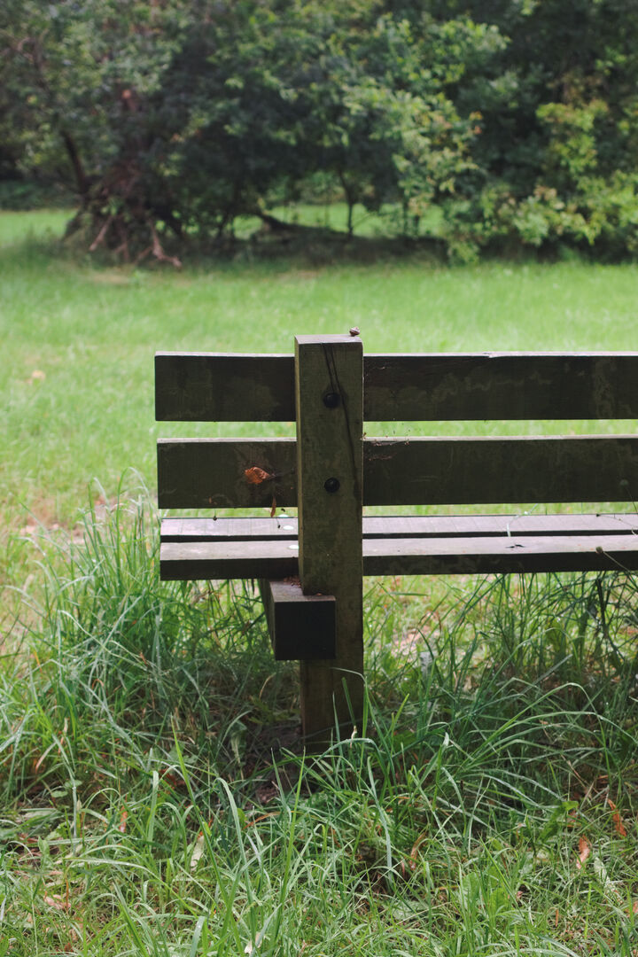 Rhederbrug Westerwolde Contemplation