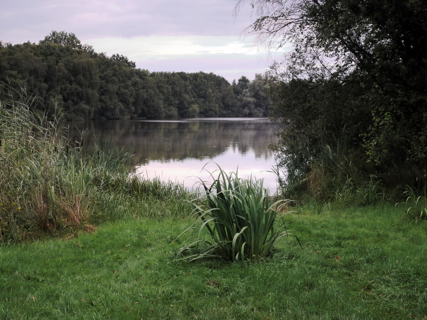 Rhederbrug Westerwolde Recreatieplas