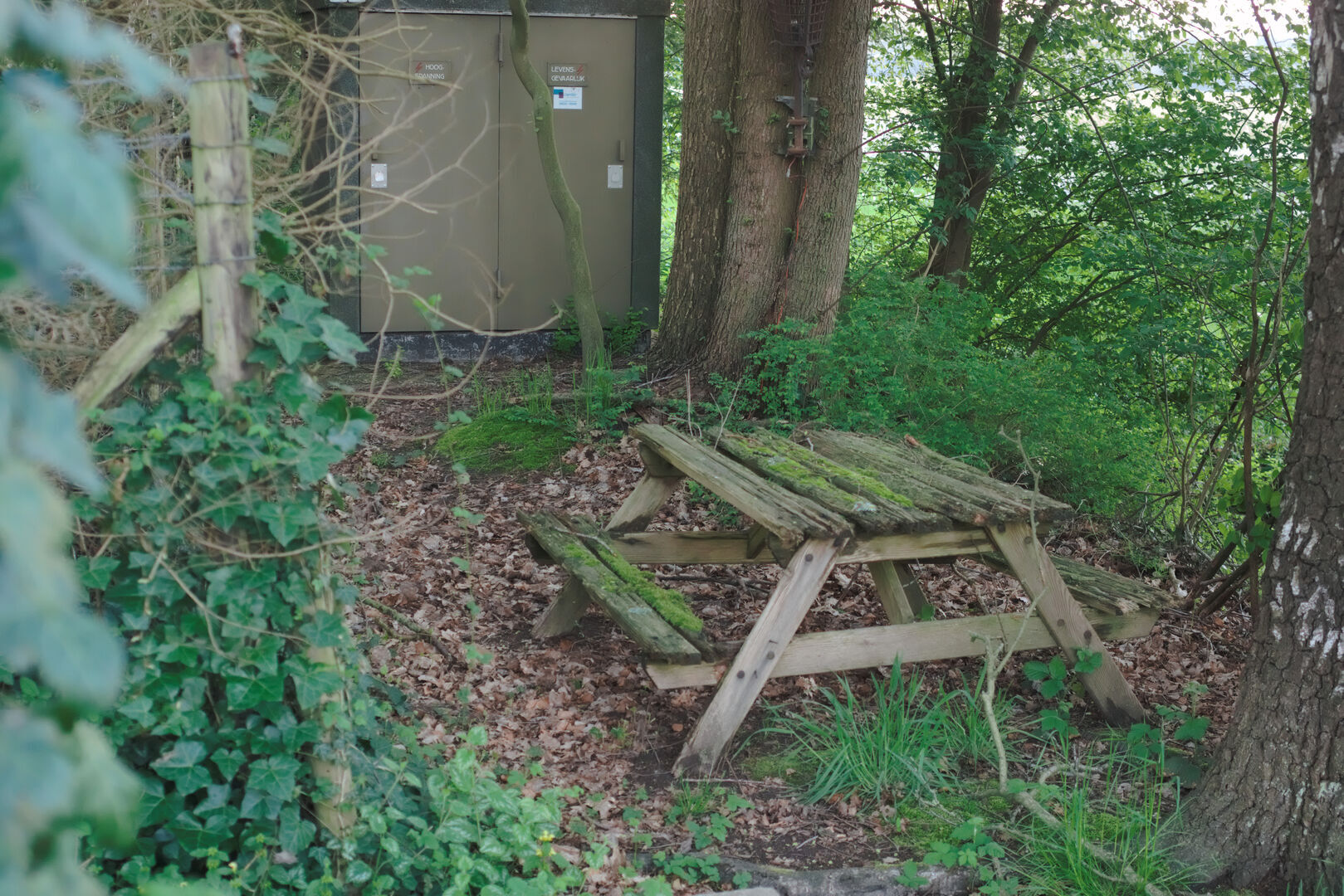 Exelseweg Exel Gelderland Picknickplaats
