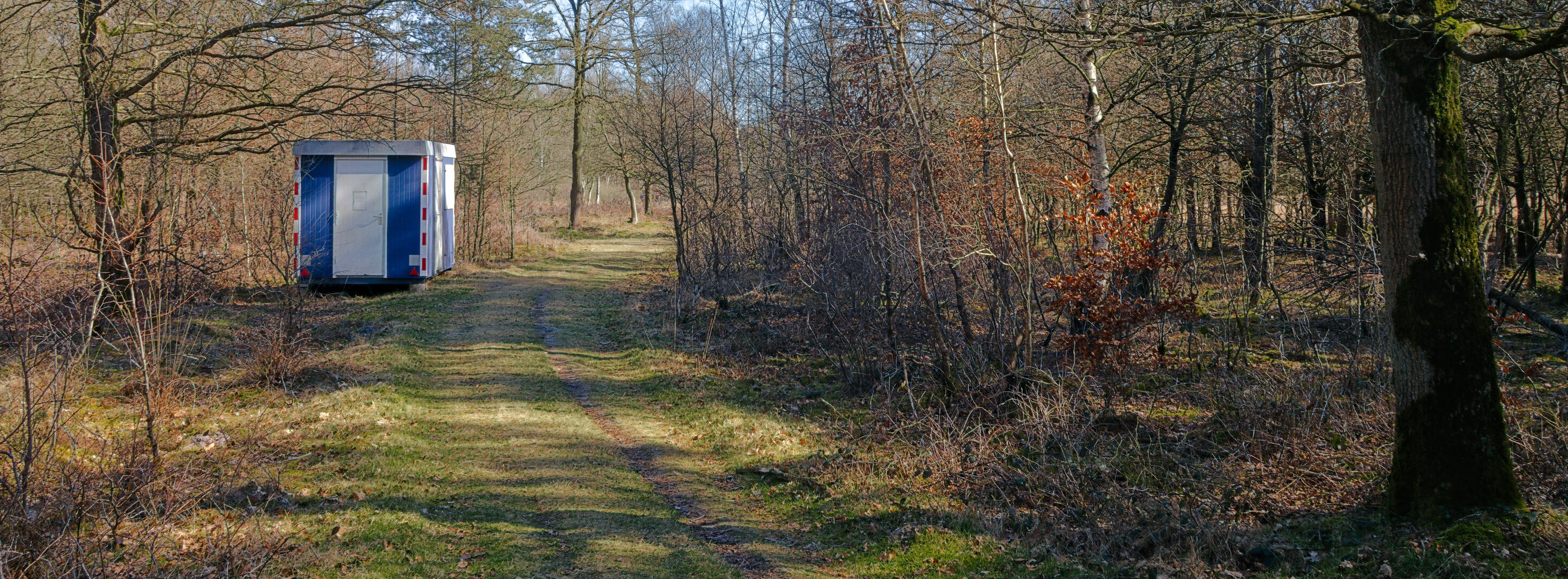 For the loggers Ter Borg Westerwolde