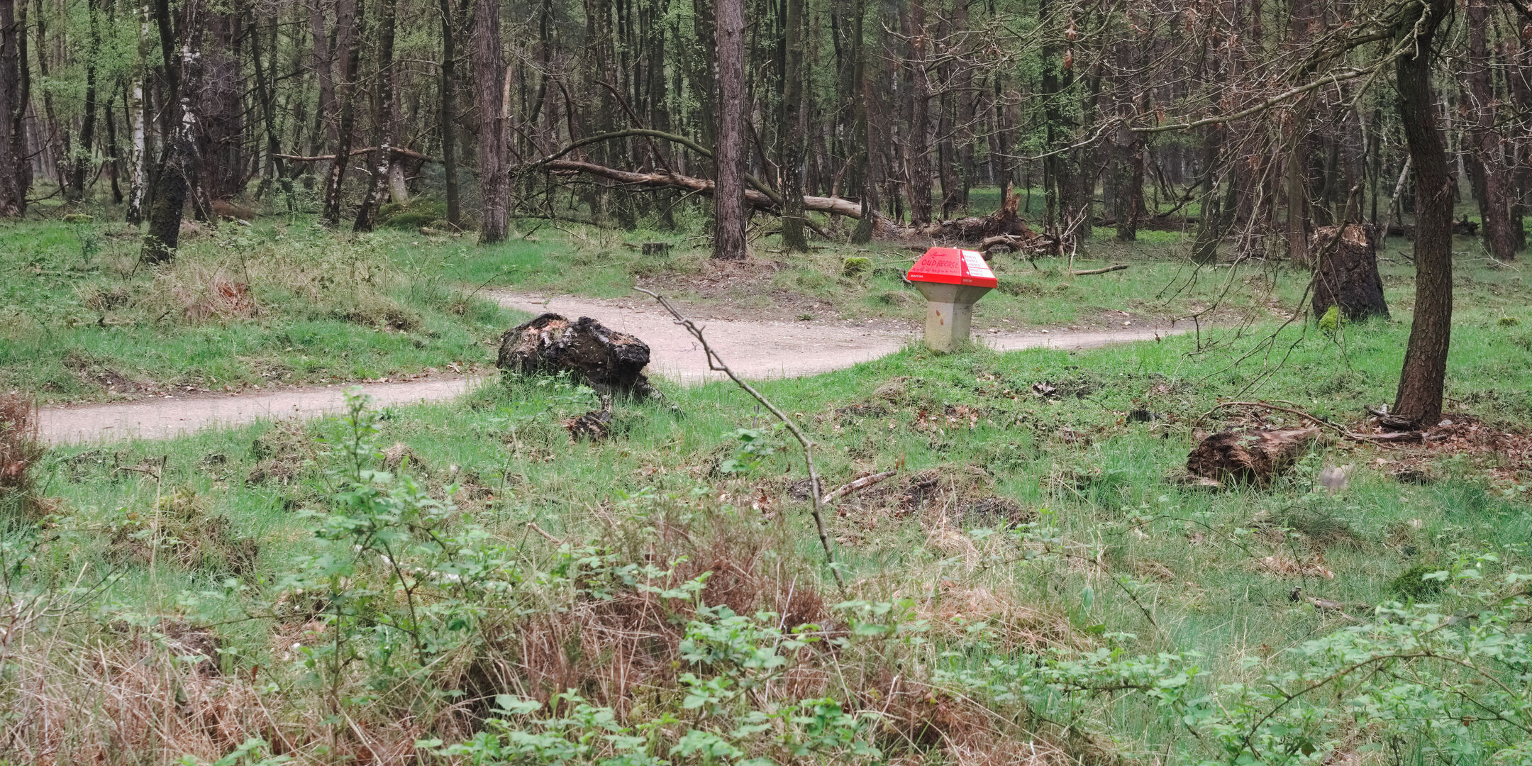 Oud Reemst Planken Wambuis Ede Gelderland Bij de paddenstoel linksaf
