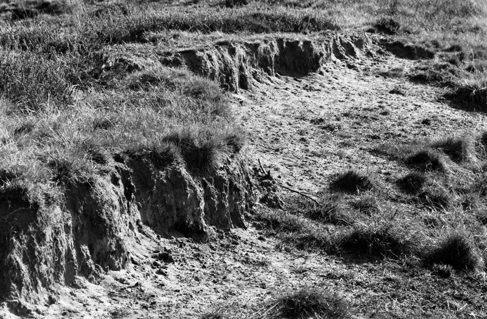 Ter Borg Westerwolde Cliff