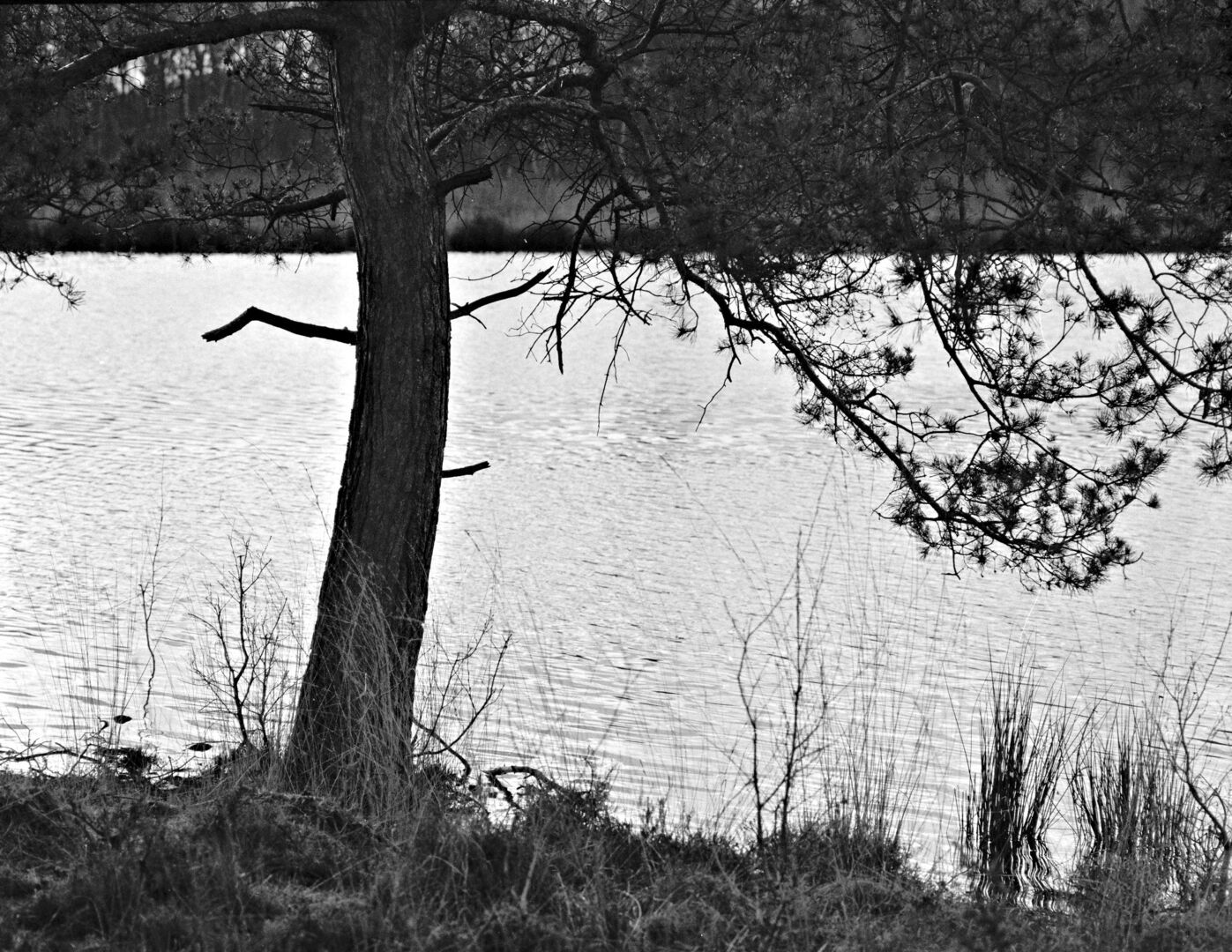 Ter Borg Westerwolde Connecting both sides