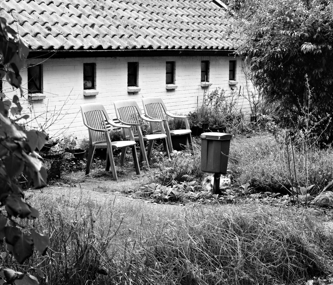 Nummer 7 Vriescheloo Westerwolde