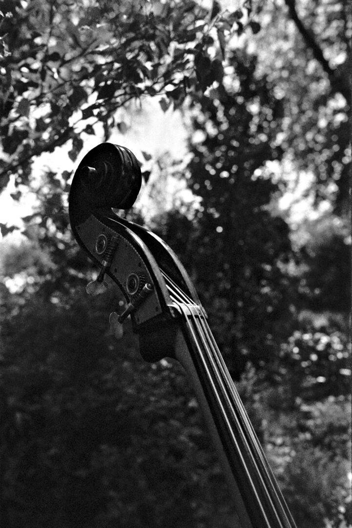 Porrepoele Alteveer Snaarinstrument