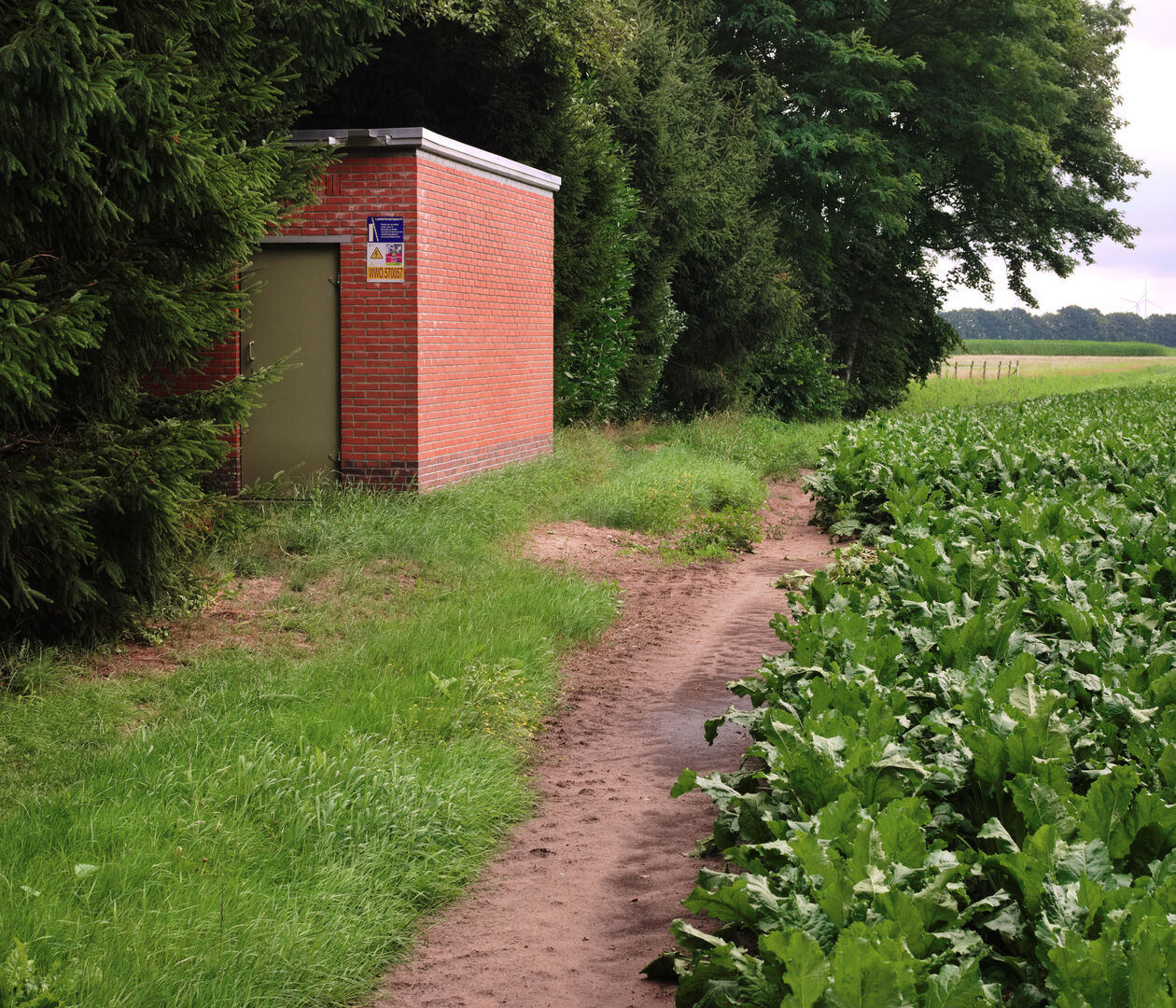 Renneborg Westerwolde Power distribution box