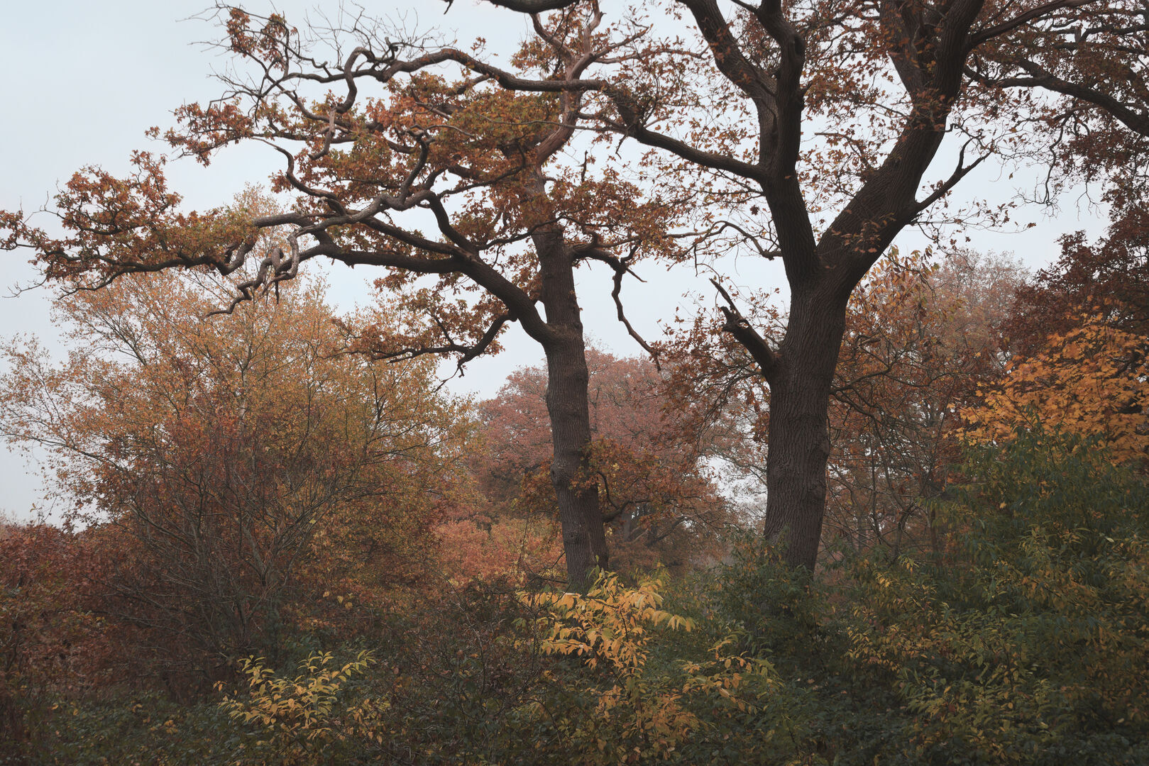 Samen een Sellingen Westerwolde