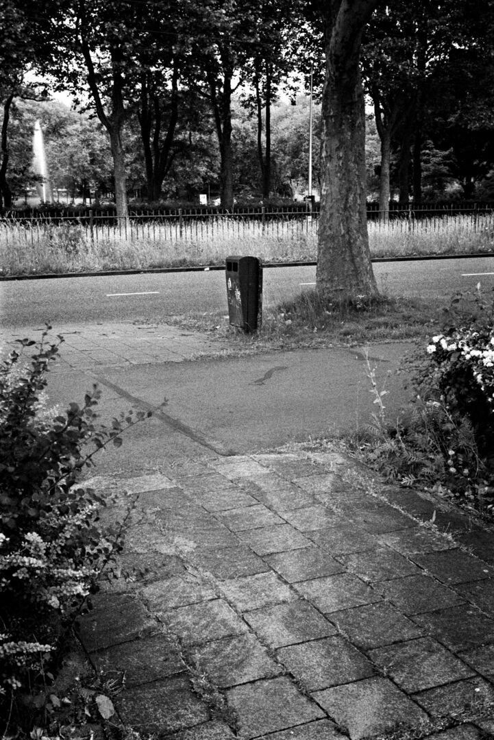 Utrecht bin