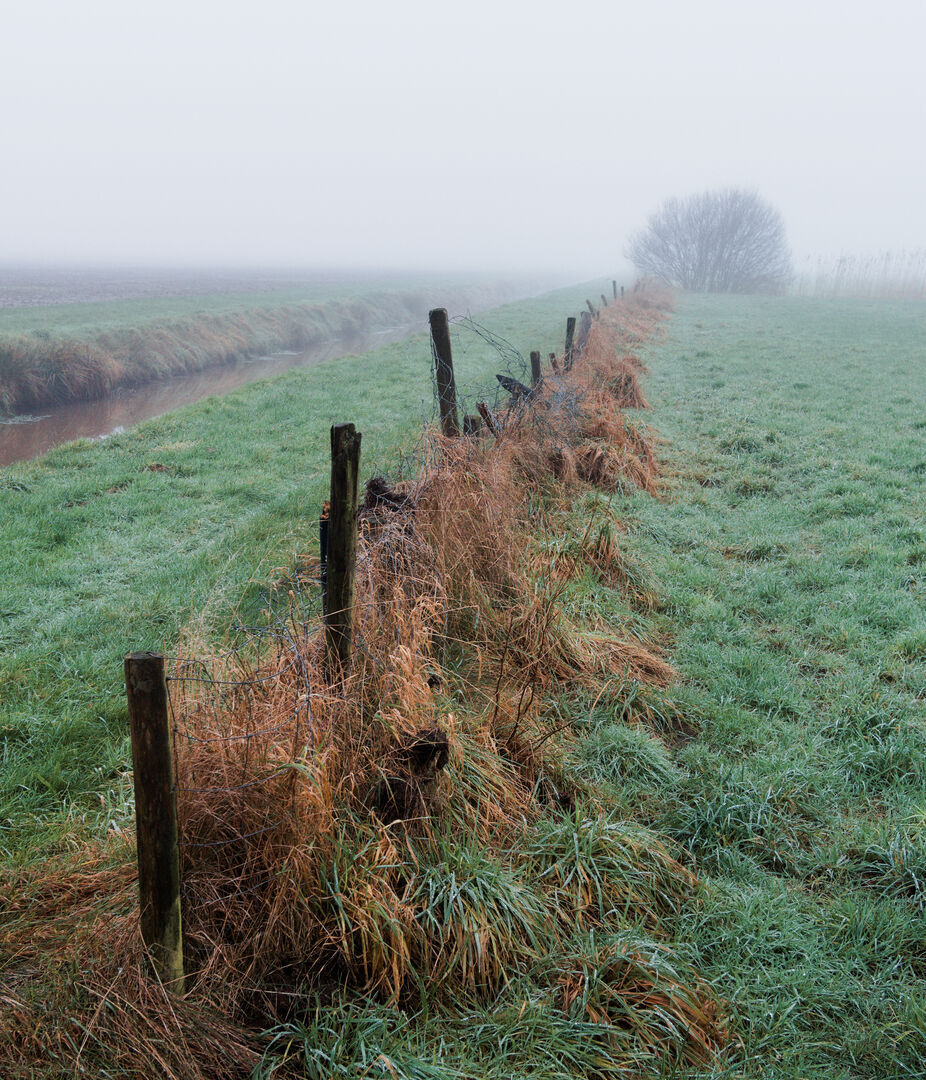 Veelerveen Westerwolde Afrastering