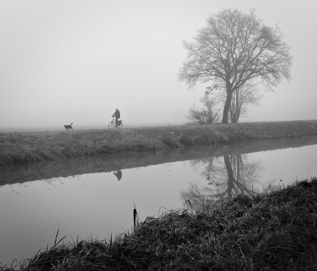 Veelerveen Westerwolde Met de hond mee