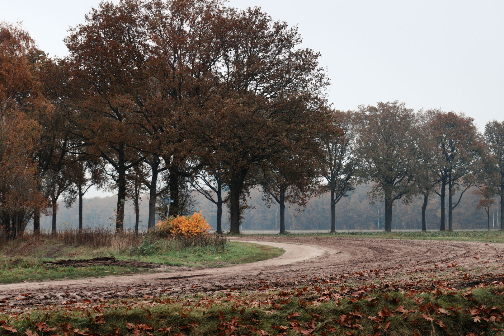 Zandweg Sellingen Westerwolde