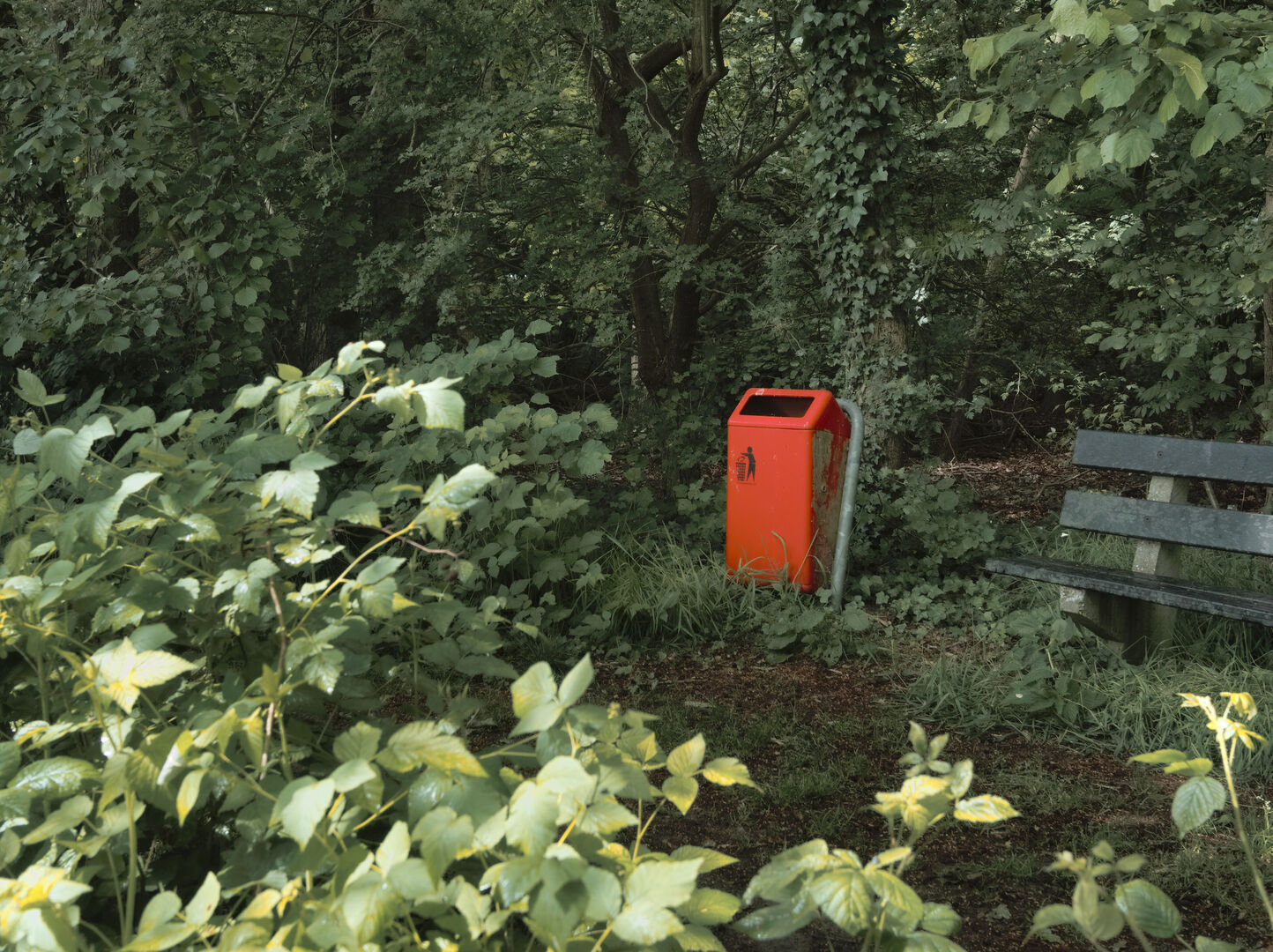 2025-05-25 Ter Wupping Westerwolde
