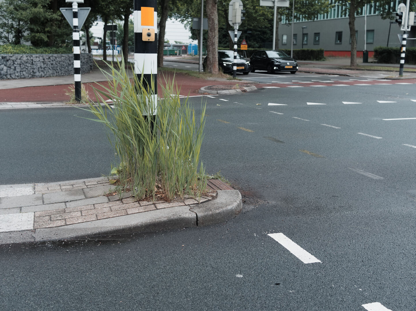 2025-05-29 Utrecht Nature finds its way
