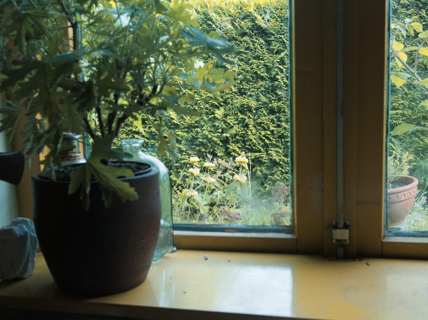 2025-06-19 Uitzicht