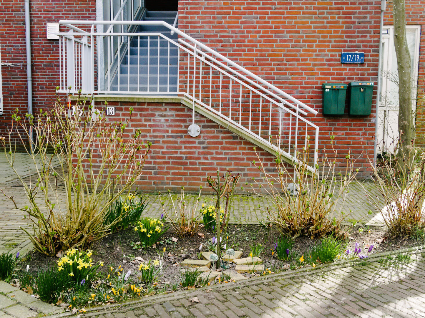 Assen Springtime