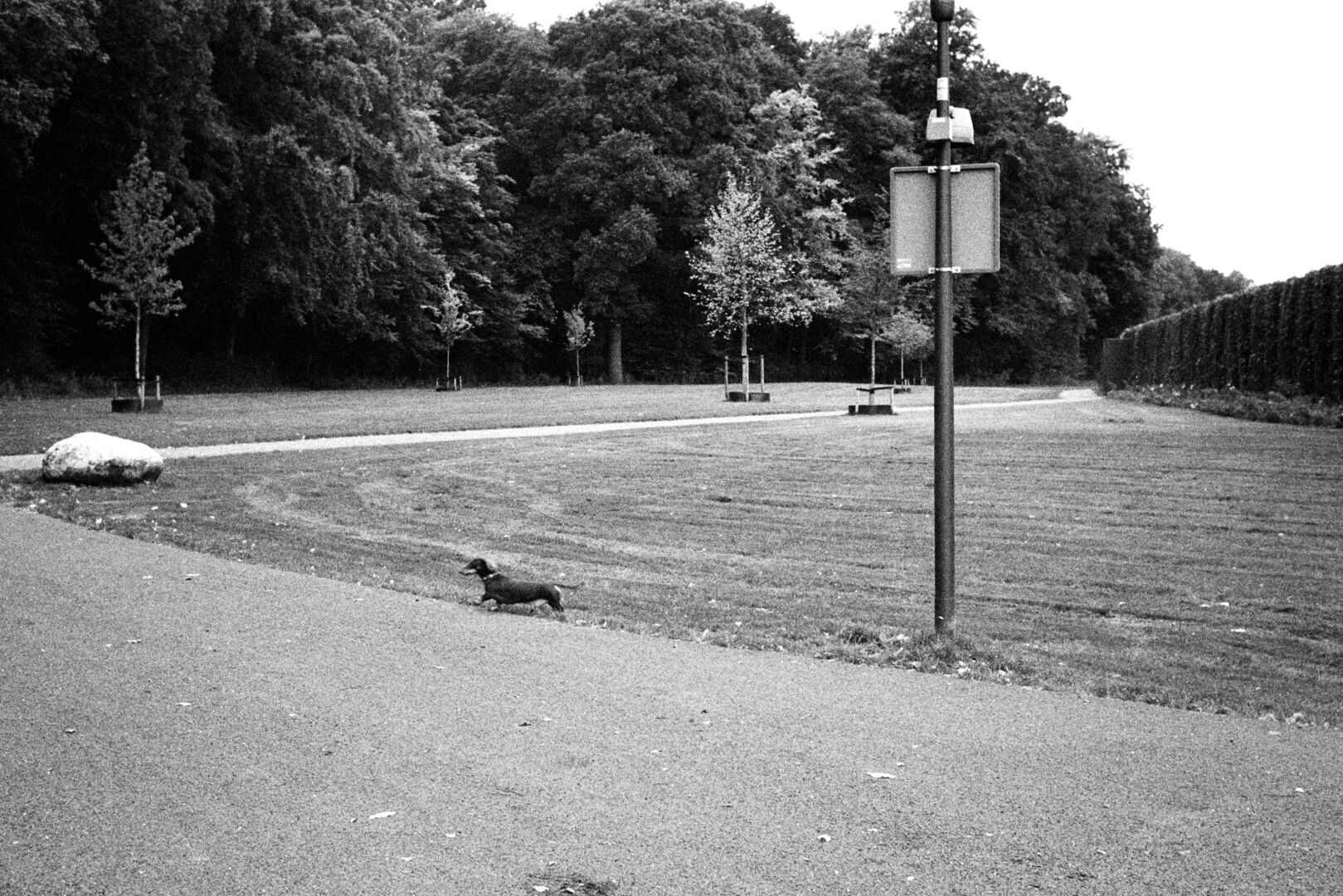 Losgeslagen Groningen