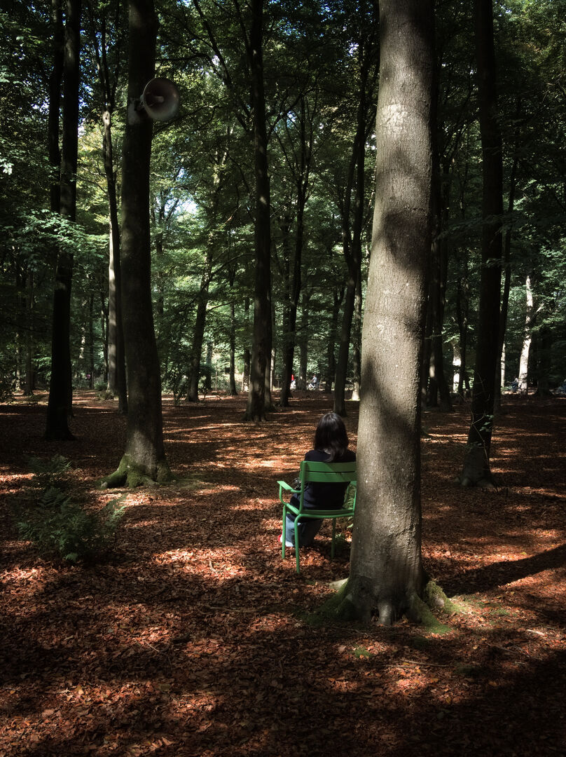 Luisteren in het bos Museum Kroller Muller Otterlo
