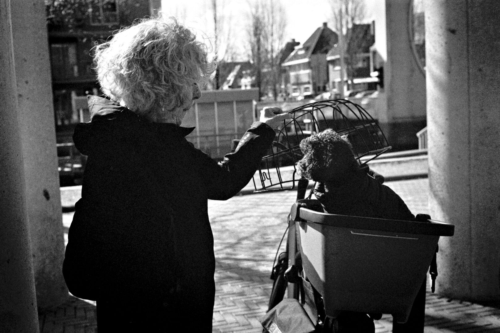 Stadskanaal The women the dog and the bicycle