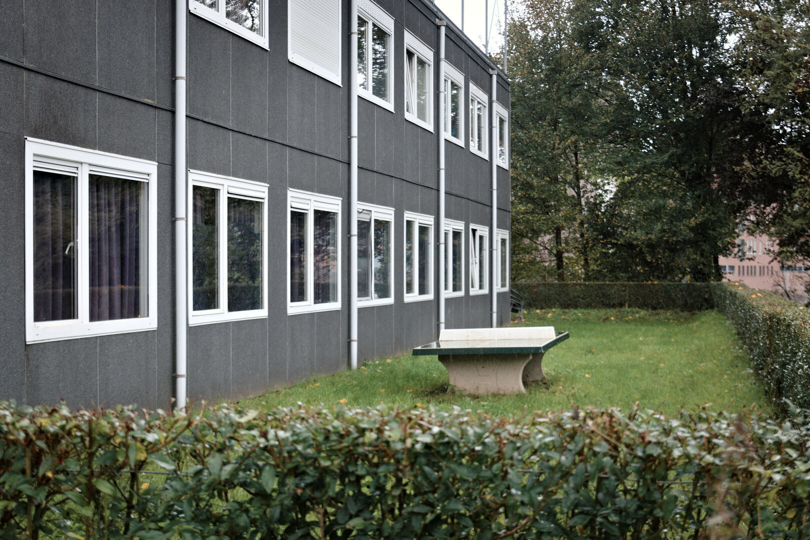 Table tennis Deventer