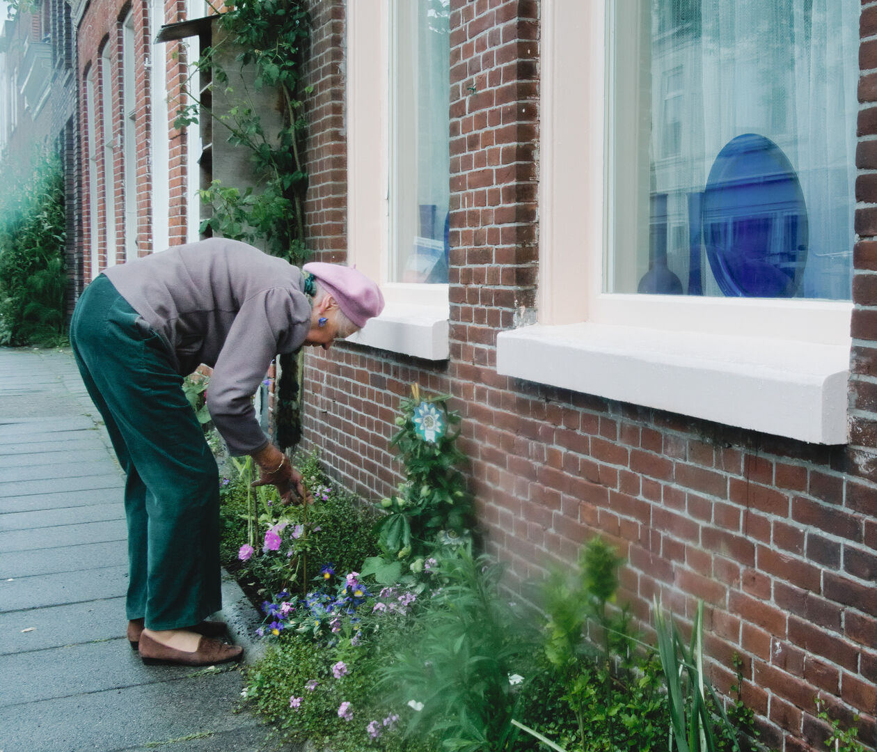 Groningen Front gardening