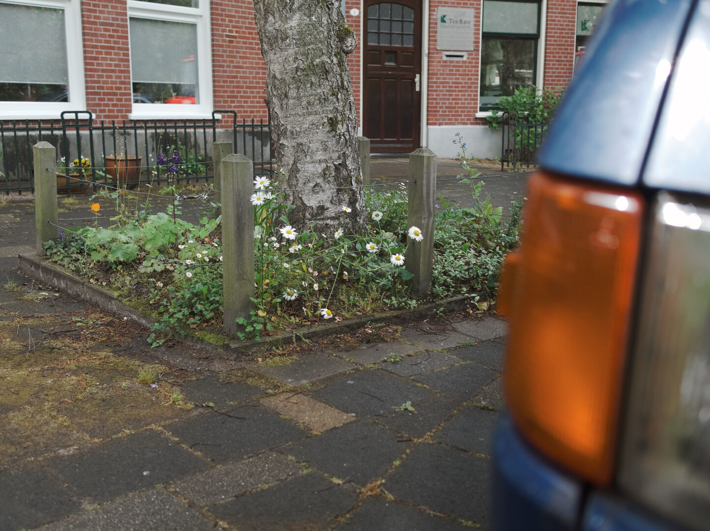 Groningen Guerrilla gardening